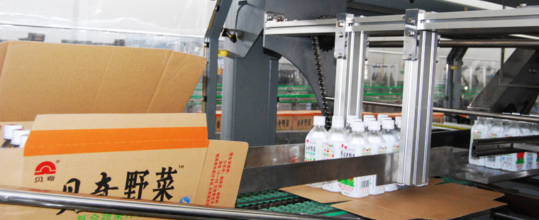 MZB Series of Wrap Around Case Packer
