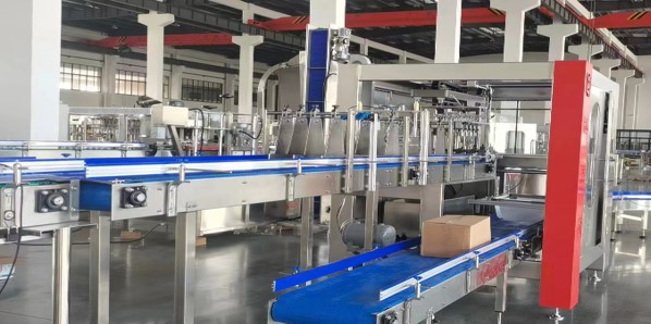Grab Type Packing Machine
