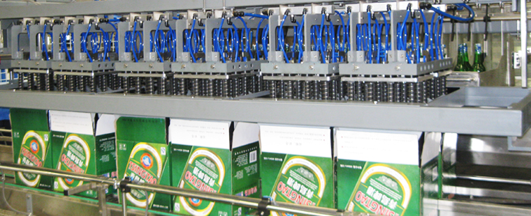 Pick and Place Carton Packer