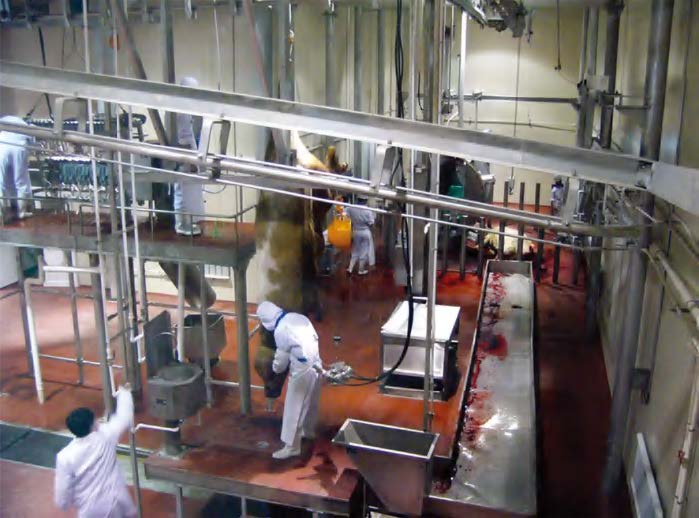 Complete Beef Slaughterhouse Line one-stop turnkey total package project