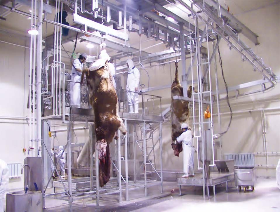 Complete Beef Slaughterhouse Line one-stop turnkey total package project