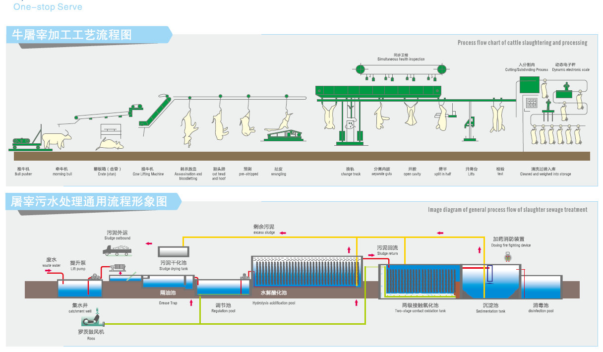 Complete Beef Slaughterhouse Line one-stop turnkey total package project