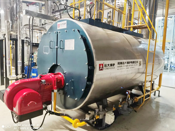 WNS Series Liquid Fuel Oil Diesel Gas Boiler Fire Tube Boiler Steam Boiler Hot Water Boiler Steam Generator
