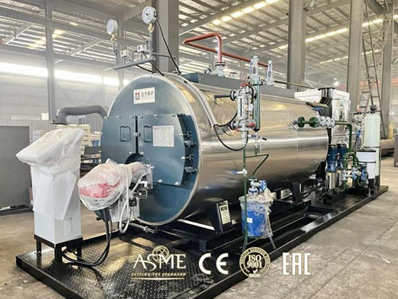 WNS Series Liquid Fuel Oil Diesel Gas Boiler Fire Tube Boiler Steam Boiler Hot Water Boiler Steam Generator