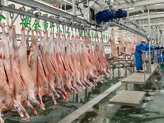 Sheep/goat Abattoir Slaughtering Equipment