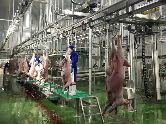 Pig Dehairing Machine Hair Removal Machine Pig Slaughtering Line