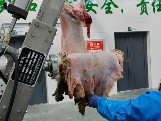 Sheep/goat Abattoir Slaughtering Equipment