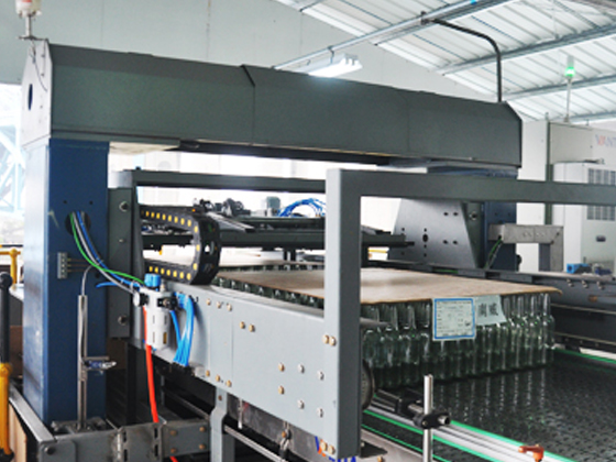 Automatic Bottle Depalletizer