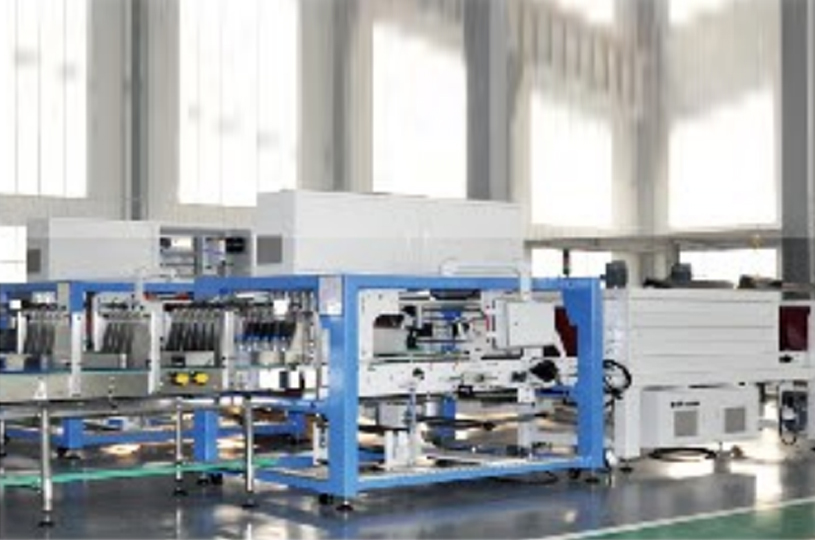 Secondary Packaging System Full Automatic Carton Case Palletizer