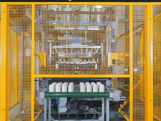 BESURE - TL200 Fully Automatic High-end Coffee Cup Lid Production Line Pulp Moulding Machine