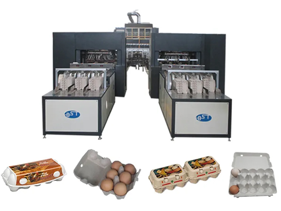 BESURE - BST EC3600 Fully Automatic Pulp Molded Egg Carton Production Line Egg Carton/Box Machine