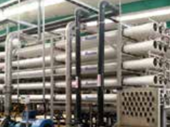 Fermentation Industry