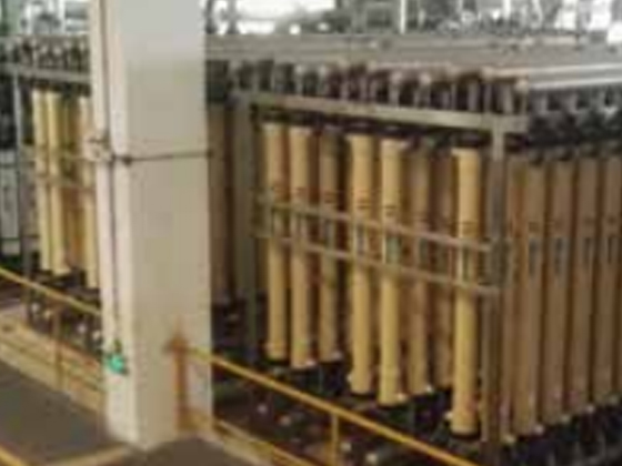Pulp and Paper Industry