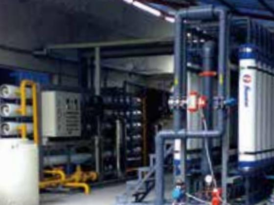 Leather Industry