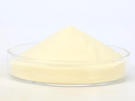 Vitamin A Palmitate Powder 250/500CWS