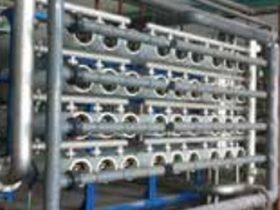Fermentation Industry