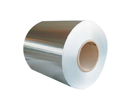 Stainless Steel Coil/Strip