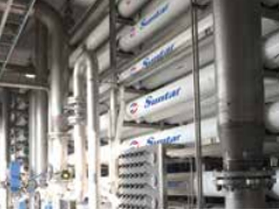 Pulp and Paper Industry