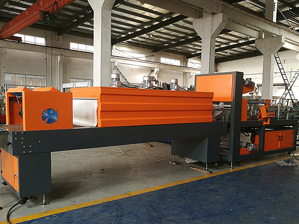 Small Linear Film Packaging Machine