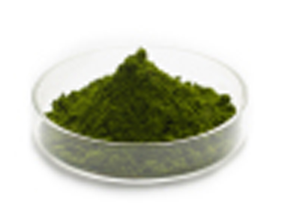 AlgoDot™ Concentrated Nannochloropsis
