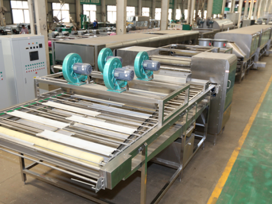 Fried instant noodle production line