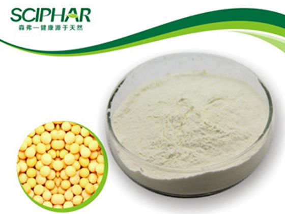 soy protein