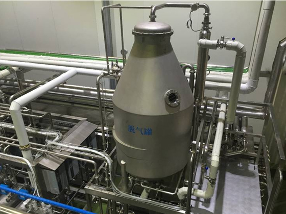 Degassing System