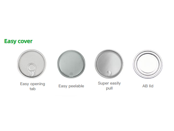 CLASSIFICATION OF LIDS