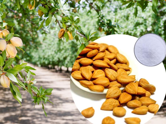 Bitter Almond extract