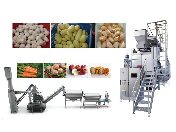 Intelligent automatic flash peeling machine Steam peeling machine