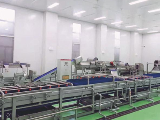 Automatic kimchi processing line