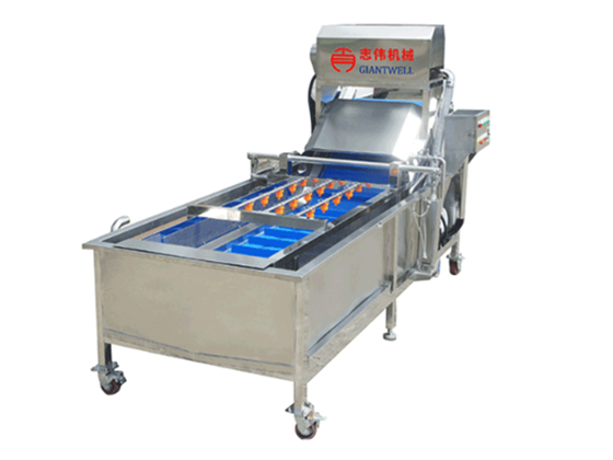 ZW-320B Bubble Cleaning Machine