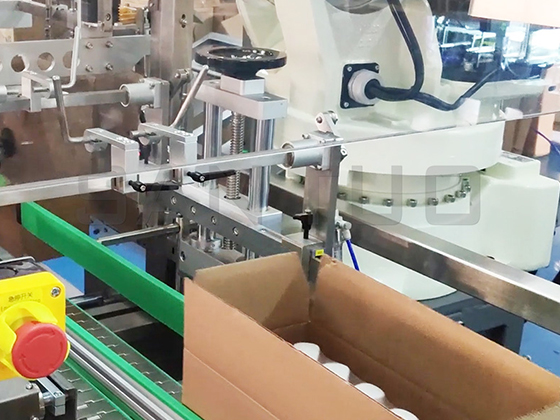 Intelligent Carton Packaging Line