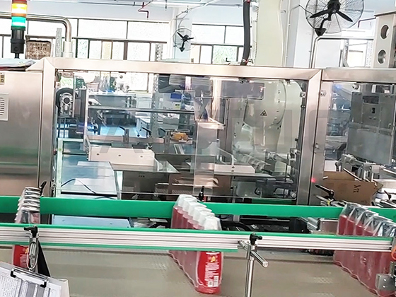 Intelligent Carton Packaging Line