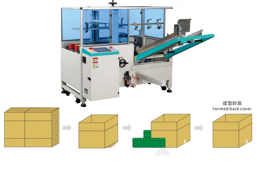 Open box forming machine