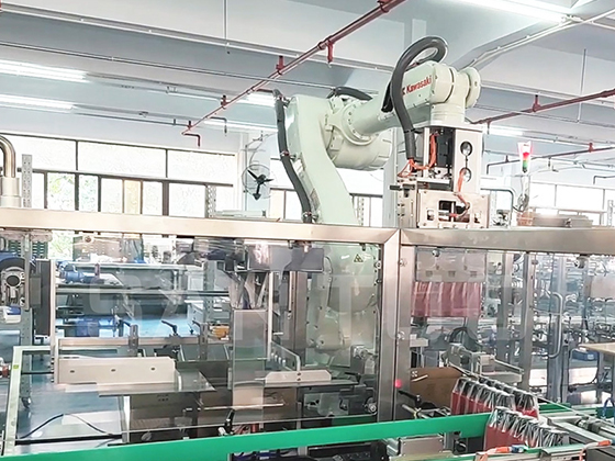 Intelligent Carton Packaging Line