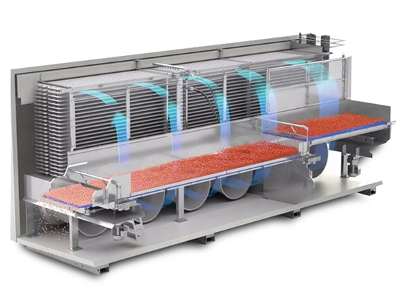 Fluidized rapid freezing tunnel