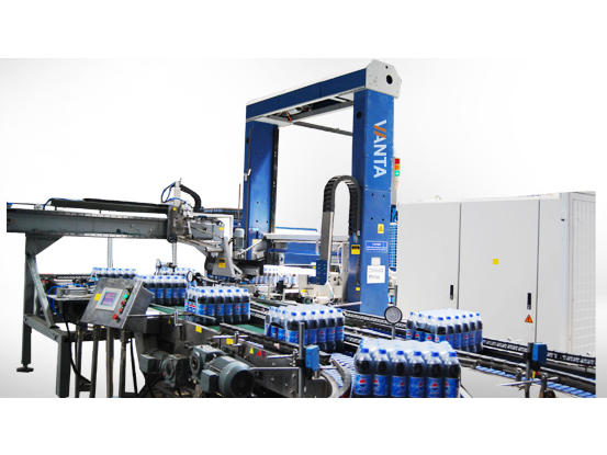 Double Column Palletizer