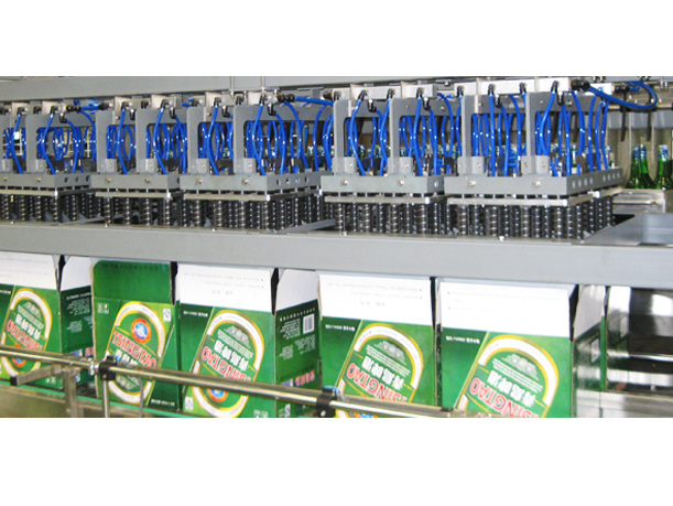 Pick and Place Carton Packer