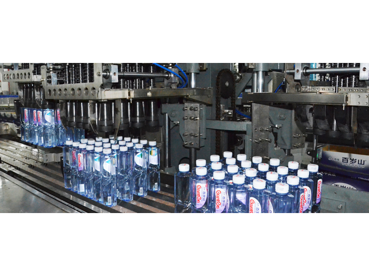 Rotary Carton Packer