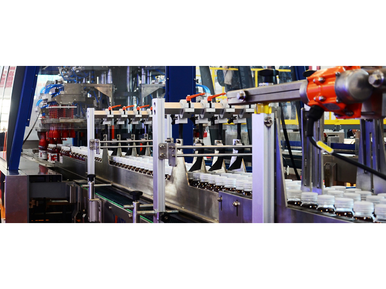 Rotary Carton Packer