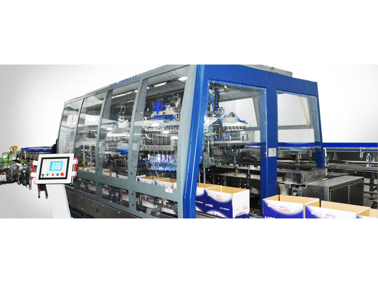 Rotary Carton Packer