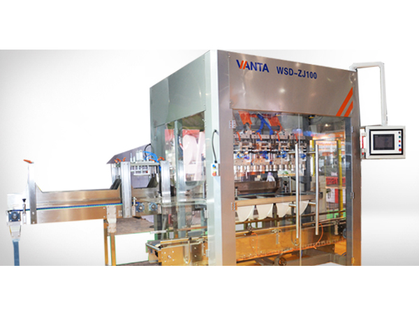 Robotic Carton Packer--- WSD-ZXJ72
