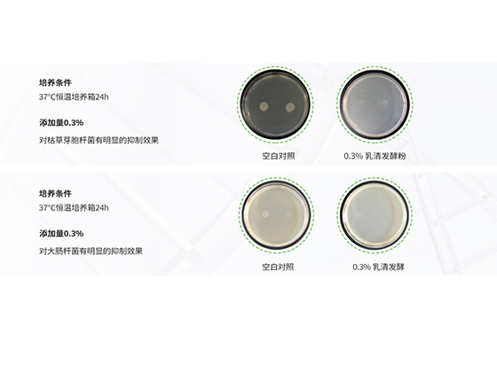 Whey Fermentation Powder 
