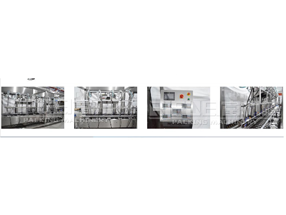 Weighing quantitative filling machine---RF-GCZ-2