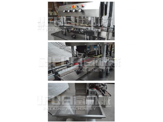 Straight line high speed  capping machine---RF-GCZ-2