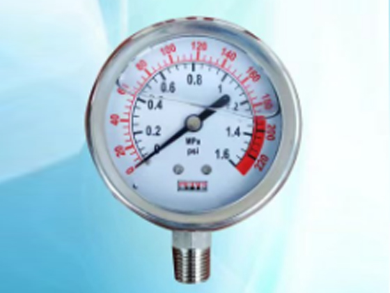 Panel-Mounted Pressure Gauge---1.6MPa