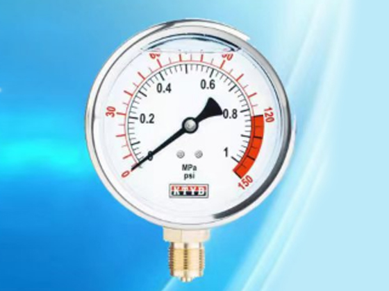 Tubular pressure gauge---1MPa
