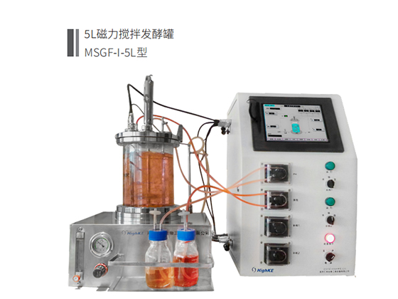 Glass Fermenter MSGF-I-XL