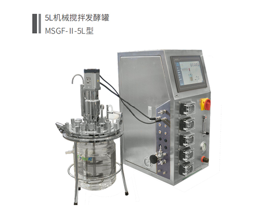 Glass Fermenter MSGF-Ⅱ-XL